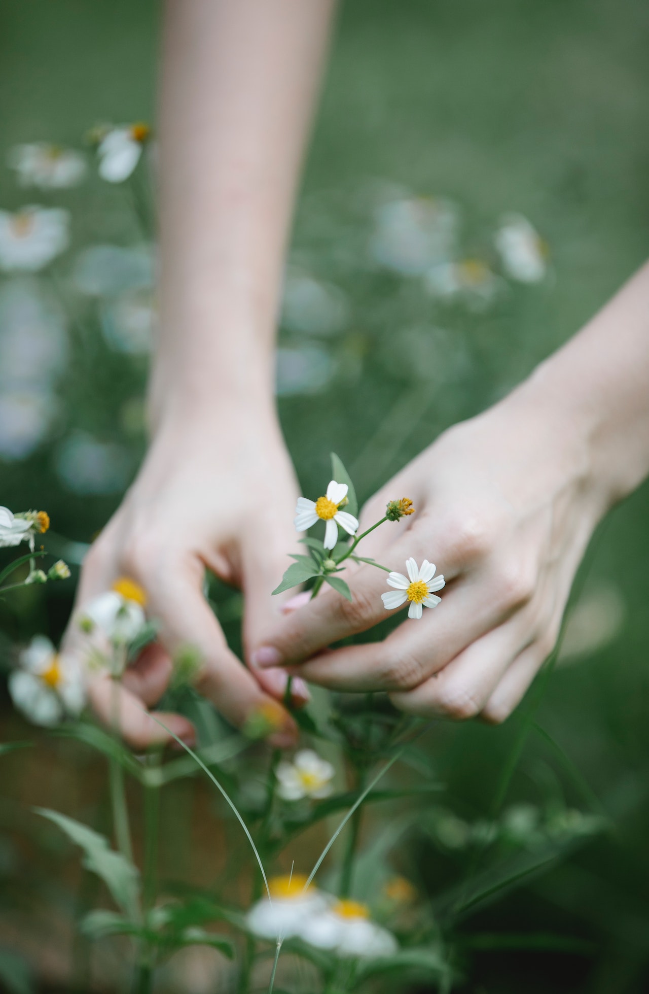 sophie-caroline-chancel-naturopathe-soin-naturel Réduire le stress, aller mieux, trouver l'équilibre, se soigner au naturel avec la naturopathie par Sophie-Caroline Chancel à Paris
